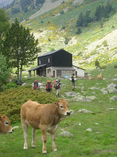 Arrivée au refuge : beaucoup de randonneurs s'arrêtent là. - 2009 - CP. Florian DESJOUIS