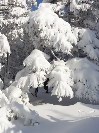 Ou est passé le Skieur? - 2011 - F. Desjouis lors du séjour ski de randonnée dans le massif des Ecrins