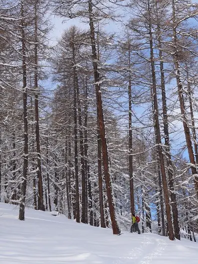 Un petit bonhomme vert au pays des géants de résine - 2011 - CP F. Desjouis lors du séjour ski de randonnée dans le massif des Ecrins