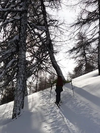 Il fait beau, mais qu'est ce qui fait froid! - 2011 - CP F. Desjouis lors du séjour ski de randonnée dans le massif des Ecrins