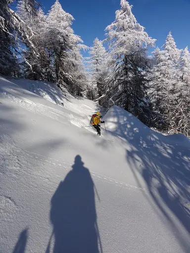 On se régale dans la descente en forêt! - 2011 - CP F. Desjouis lors du séjour Nous voila presque au Sommet, le vent souffle à tout allure! - 2011 - CP F. Desjouis lors du séjour ski de randonnée dans le massif des Ecrins