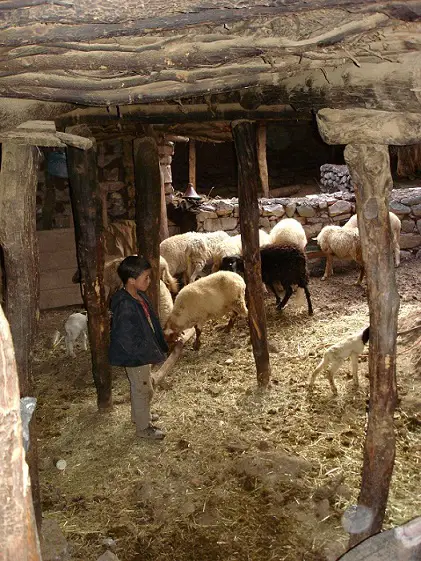 Voici notre première nuit dans une auberge Marocaine - 2009 - CP. F. Desjouis - M'goun