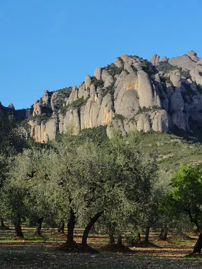  Bienvenues dans le massif hors normes de Montserrat durant le trip escalade en Catalogne