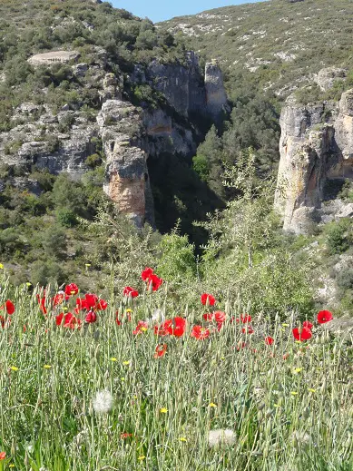  la gorge d'os de Balaguer, caillou superbe et cadre enchanteur. - 2012 - CP. Florian DESJOUIS - escalade en Catalogne