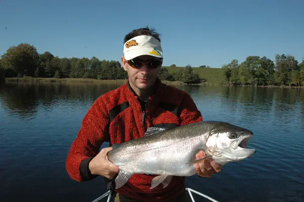 Une belle truite Arc-en-ciel de plus de 4,8KG pris au streamer au réservoir de la Landie 