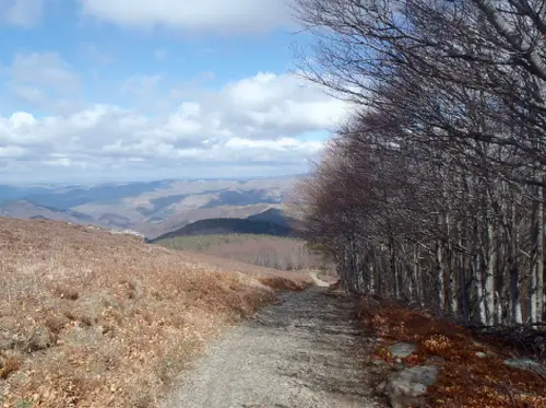 chemin de Stevenson à pied ( trail ou running )