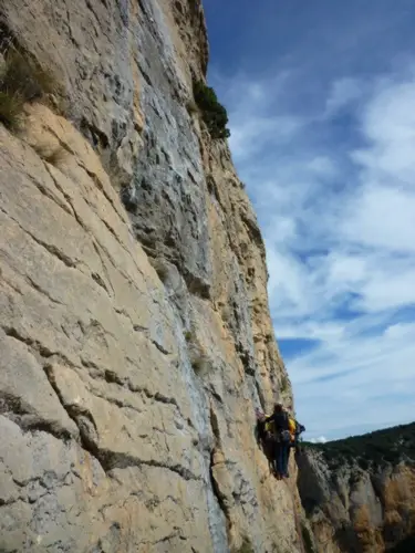 Des professionnels et des nouilles, ou des nouilles de professionnels...