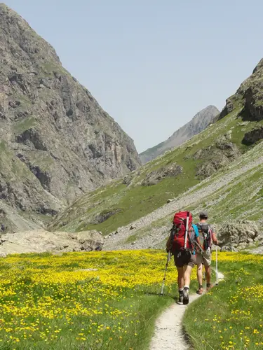 De retour au fond du vallon bien fleuri. Prise par FD - Fond du vallon lors de l'Initiation alpinisme