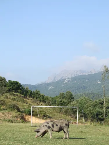 La Corse en vélo