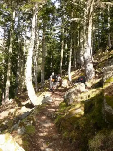 Joli petit sentier, ombragé heureusement pendant l'ascension du Canigou