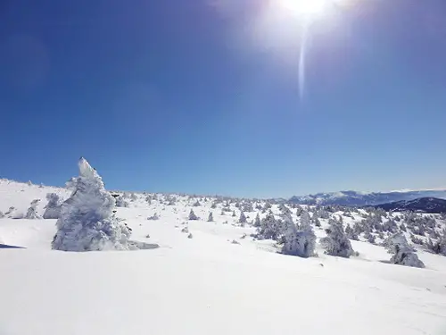 Bon choix pour la descente de ski de randonnée au Pic de Madres, nous sommes seuls à tracer la neige vierge.