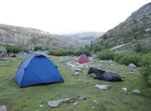 Bivouac au milieu de chevaux en liberté lors de notre traversée de la Corse