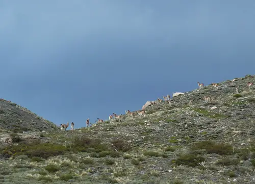 trek au Torres Del Paine