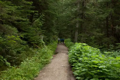 Trek en Colombie Britannique