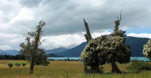 région des Lacs au Chili