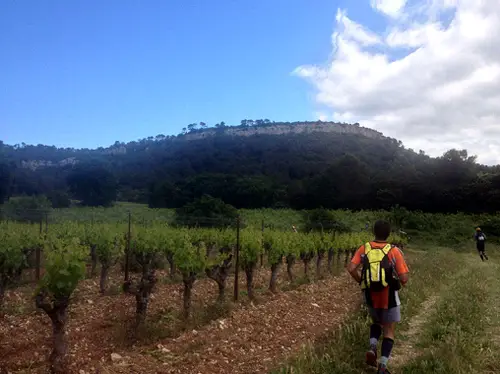 marathon de l'hortus