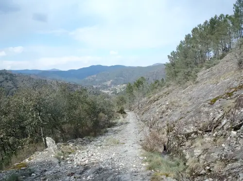 chemin de Stevenson à pied ( trail ou running )