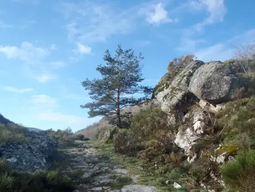 chemin de Stevenson à pied ( trail ou running )