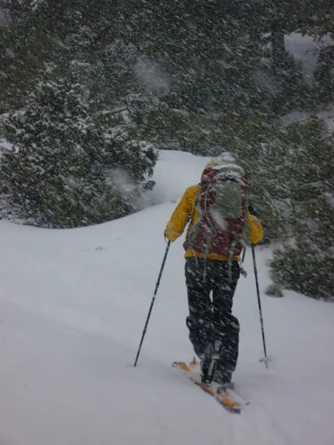 Ski de randonnée dans les Pyrénées Orientales vers le Puig del Pam sous un déluge de flocon de neige