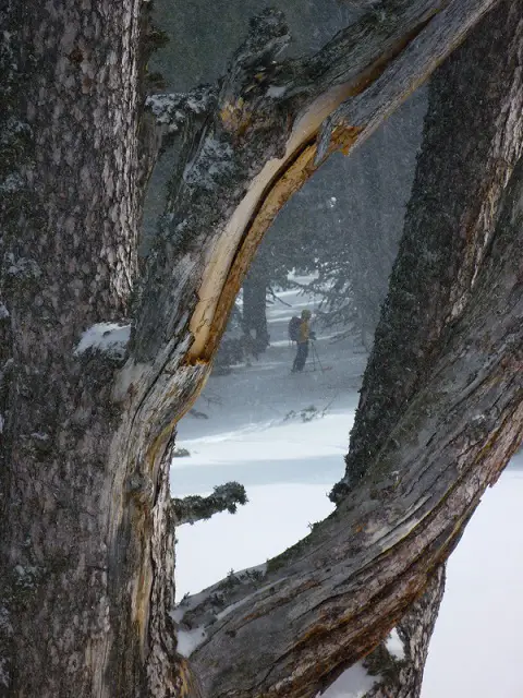 Descente en ski en douceur, pas d'excès de vitesse aujourd'hui, même en le voulant.