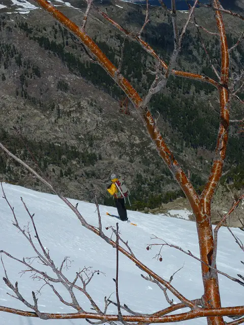 ski de randonnée en Corse