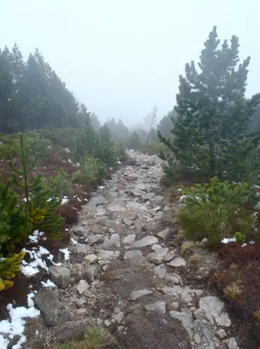 chemin de Stevenson à pied ( trail ou running )