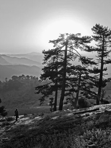 Belles ambiances dans la superbe forêt au pied des parois lors du séjour Escalade grande voie en Turquie