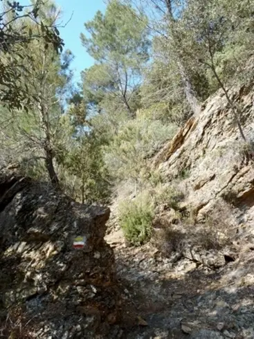 chemin de Stevenson à pied ( trail ou running )