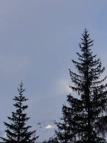 Un bout de soleil qui trainait par là