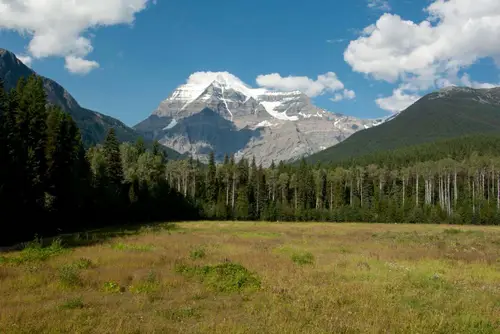 Vue du Mt Robson depuis le Mt Robson Visitor Centre Trek en Colombie Britannique