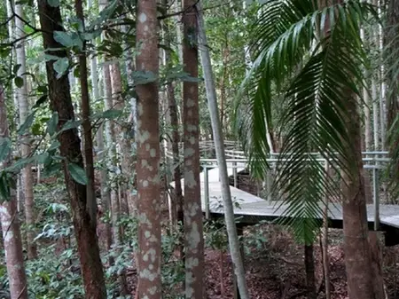 La randonnée pédestre au Territory Wildlife Park en Australie