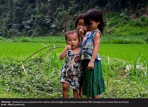 #Hmongs - Randonnée pour la journée entre rizières, maïs et jungle, nous croisons trois petites illes Hmong et leur maman dans les champs Ba Bé - Mardi 23 avril 2013