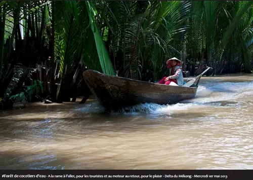 #Forêt de cocotiers d'eau - A la rame à l'aller, pour les touristes et au moteur au retour, pour le plaisir - Delta du Mékong - Mercredi 1er mai 2013