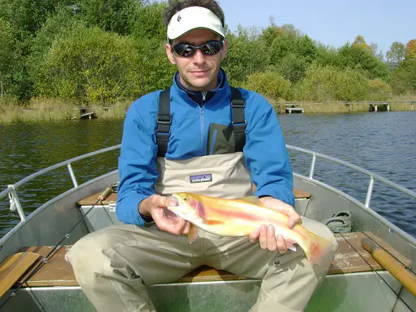 Première truite gold au lac de la landie