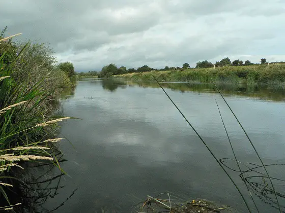 La Suir à Kilmaneen pour la pêche à la mouche en Irlande