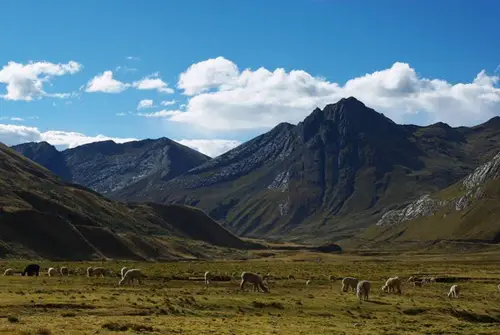 trek au Pérou