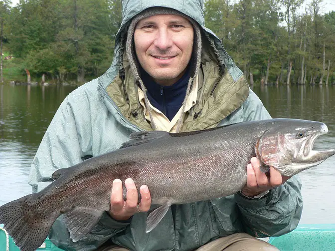 conseils pour la pêche à la mouche et pêcher une Truite arc-en-ciel au muddler sous la pluie 